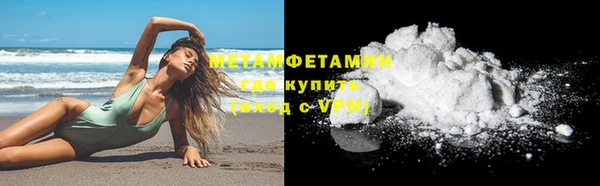 стаф Козловка