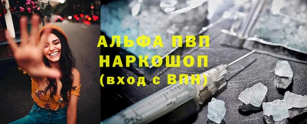 стаф Козловка