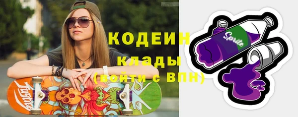 шишки Каменногорск