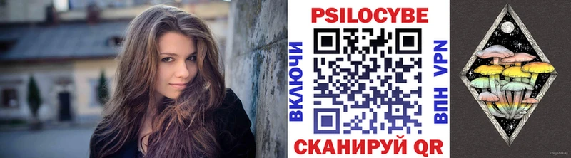 Купить  Кондрово  Галлюциногенные грибы прущие грибы 
