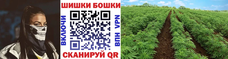 Канабис Amnesia  Купить  Кондрово 