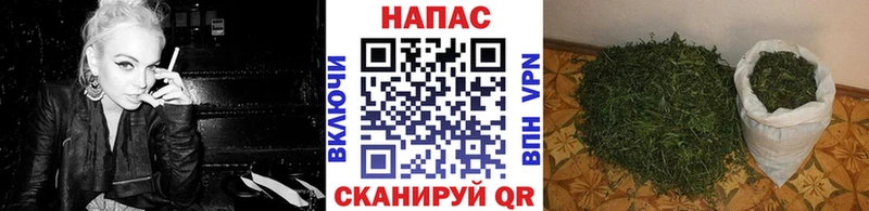 Каннабис конопля Кондрово